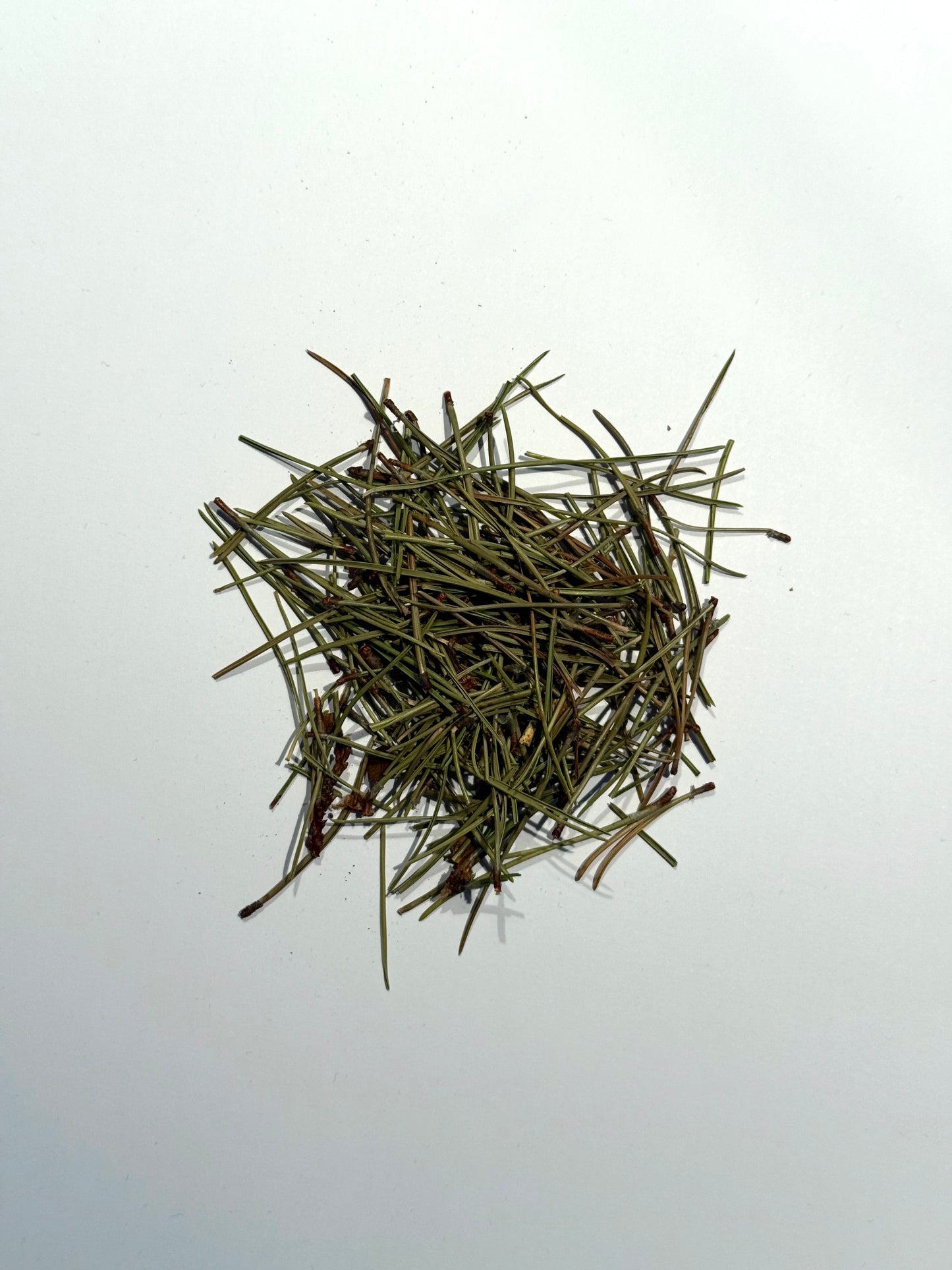 High Mountain Pine Needle Tea (50g)