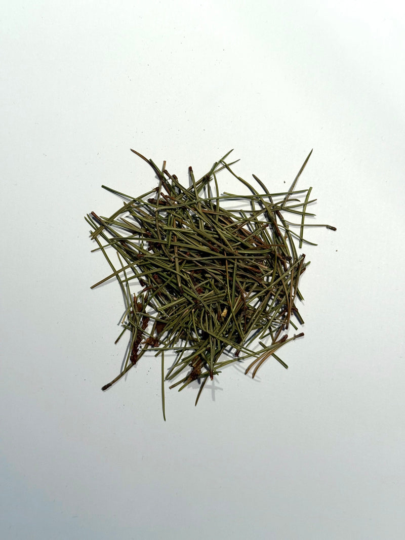 High Mountain Pine Needle Tea (50g)